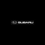 True Shine Car Detailing in Sydney Australia working with Subaru